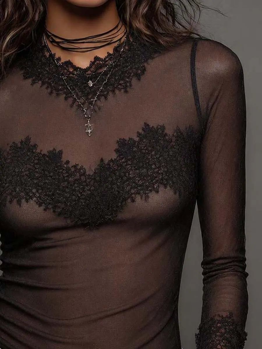 Boho V Lace Trim Sheer Mesh Long Sleeve Top