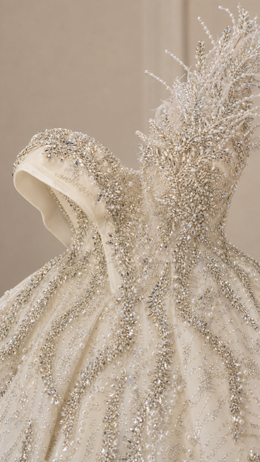 Asymmetrical Feather Accent Beaded Ball Gown