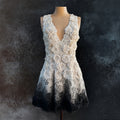 Vintage Roses Embroidered Gradient V Neck Linen Mini Dress